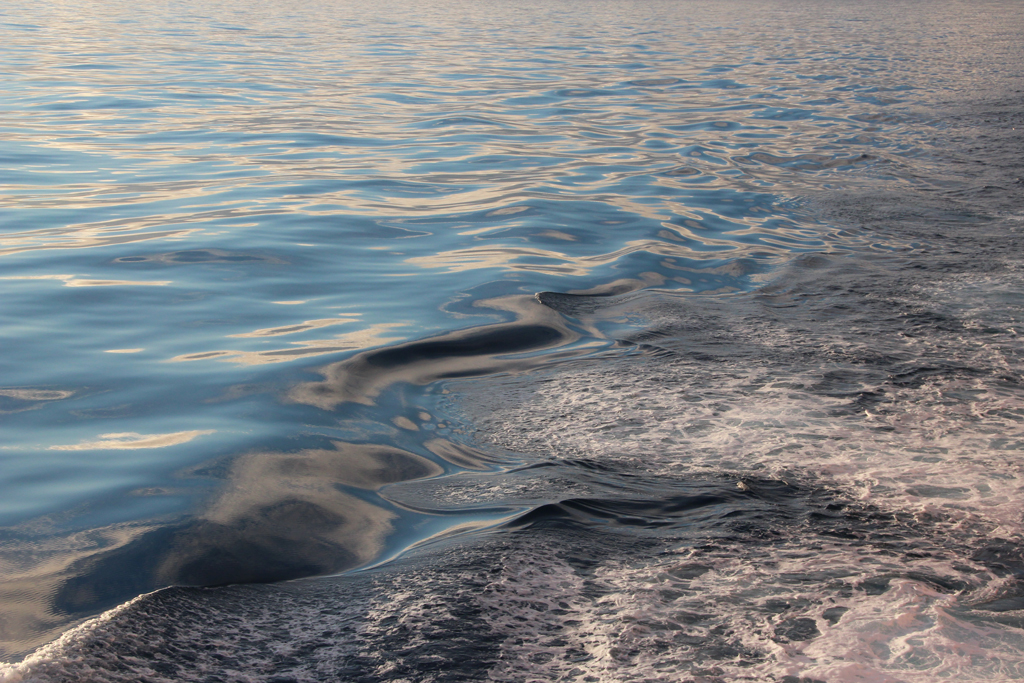Drake Passage (aka Drake Lake)