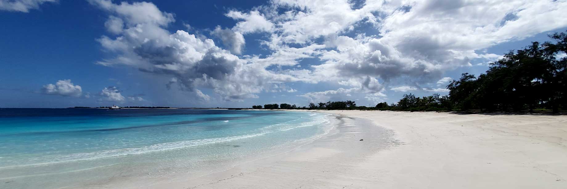 Indian Ocean, Safaris and Gorillas